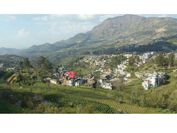 Cottage 5 Solan Ngoại thất bức ảnh
