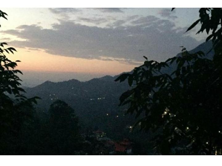 Cottage 5 Solan Ngoại thất bức ảnh
